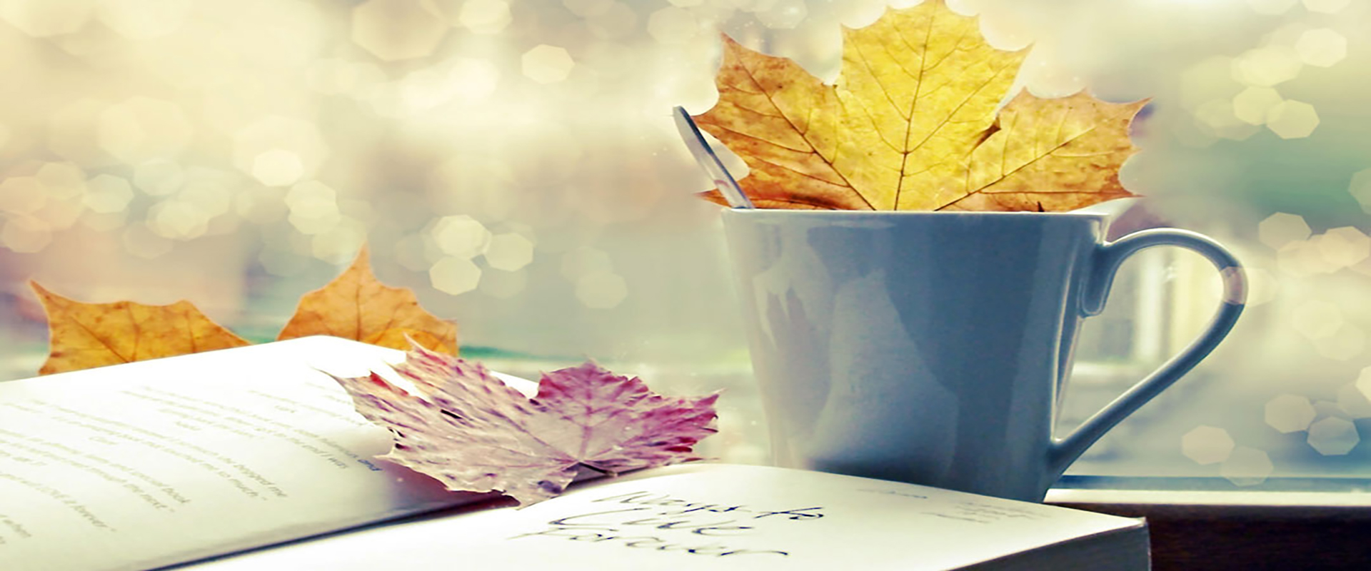 banner2